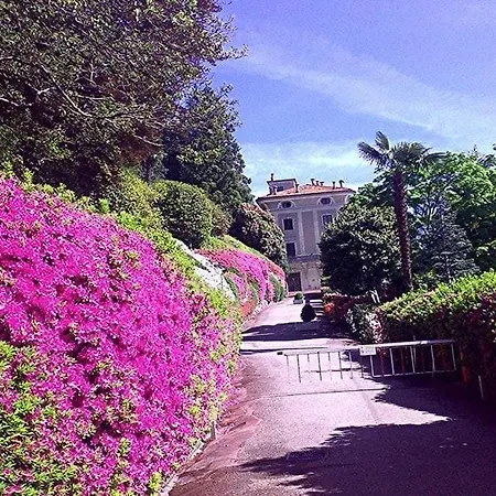 Apartman Lavinia *